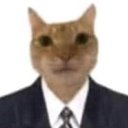 Bixales adlı kullanıcı